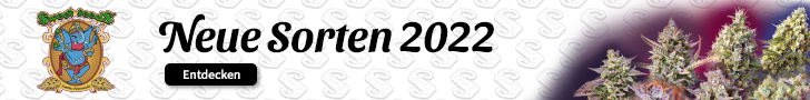 Sweet Banner 2022